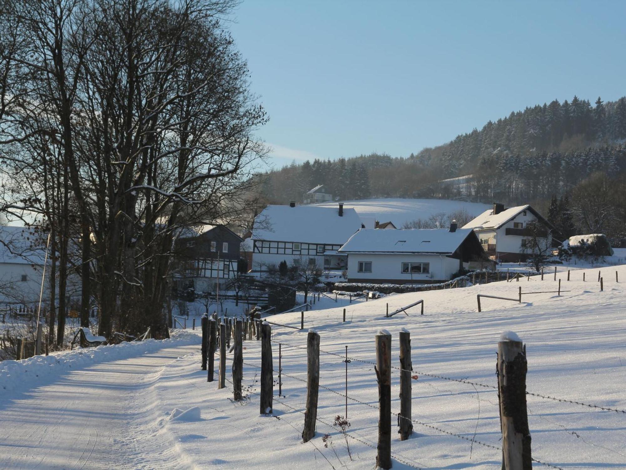 Home In Wissinghausen With Private Sauna Medebach Bagian luar foto